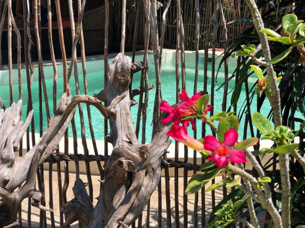 Zawadi Residence Watamu Dış mekan fotoğraf